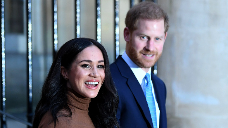 Meghan and Harry greet waiting fans