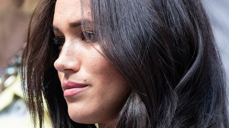 Meghan Markle soft smiling
