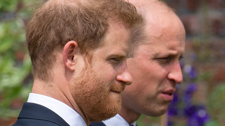 Prince Harry and Prince William at Diana memorial 