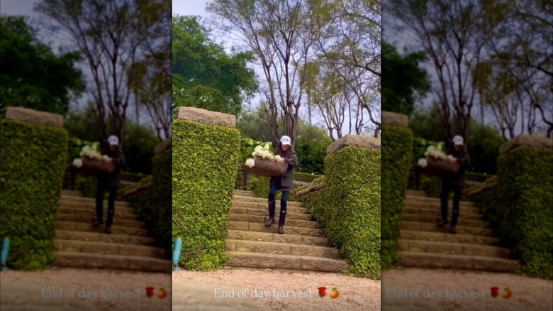 Meghan Markle carrying basket down steps