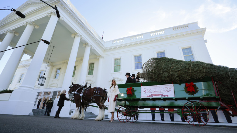 Melania Trump posing with horse-drawn carriage