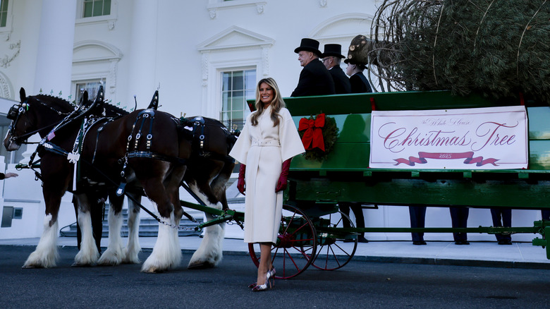 Melania posing with horse-drawn carriage