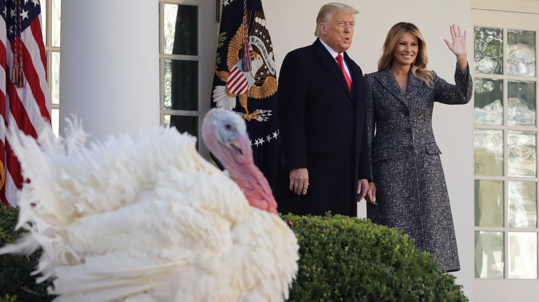 Donald and Melania Trump at the White House with a turkey