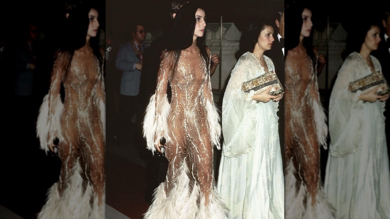 Cher attending the Met Gala in 1974 in a nude illusion dress with feathers