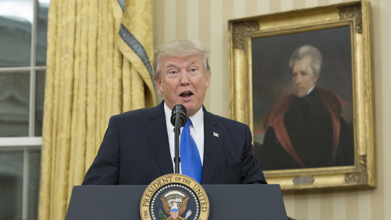 Donald Trump speaks in front of a painting of Andrew Jackson.