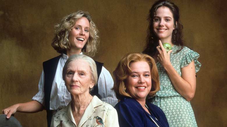 Fried Green Tomatoes promotional image