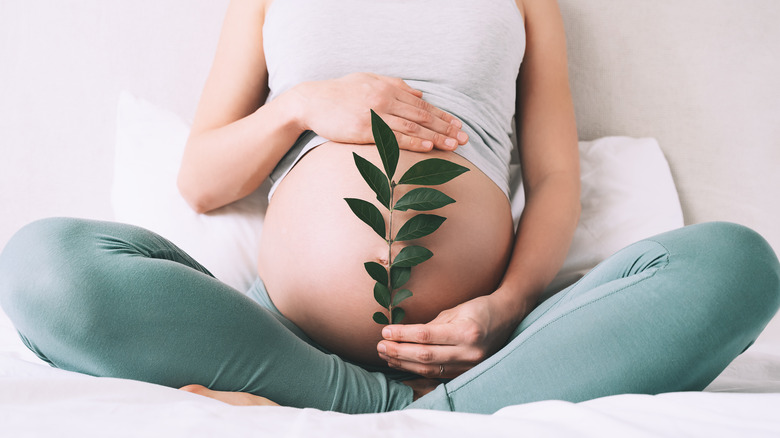 Pregnant woman leaf belly