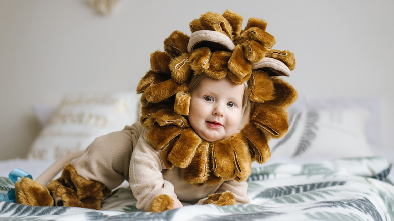 A baby in a lion costume 