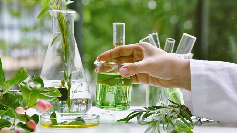 Test tubes against a green backdrop