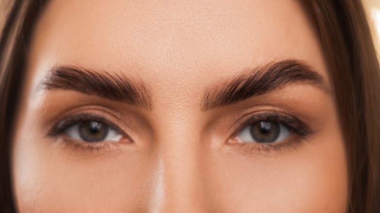 woman's eyes and eyebrows