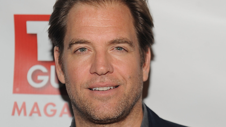 Michael Weatherly smiling 