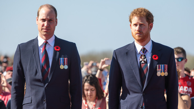 Prince William, Duke of Cambridge and Prince Harry arrive at the Canadian National Vimy Memorial on April 9, 2017 in Vimy, France.