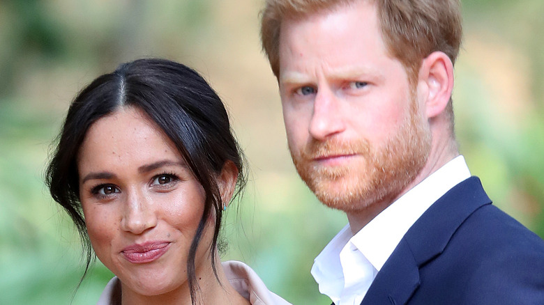 Prince Harry and Meghan Markle posing together in a garden