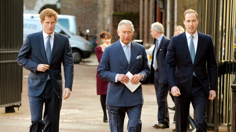 Prince Harry, Prince Charles, Prince of Wales and Prince William, Duke of Cambridge arrive at the Illegal Wildlife Trade Conference at Lancaster House on February 13, 2014 in London, England. It is hoped that following discussions at the conference, nations will sign a declaration that will commit them to a range of goals to combat the poaching that is threatening animals such as tigers, elephants and rhinos.
