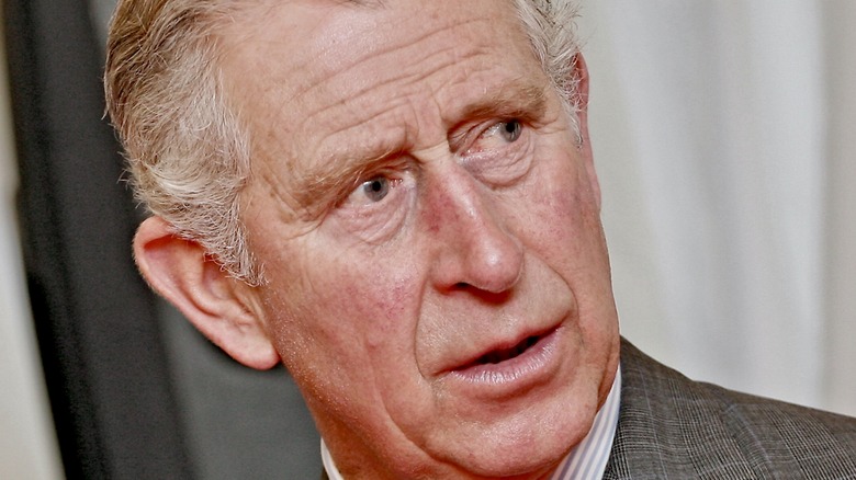 Prince Charles looking concerned