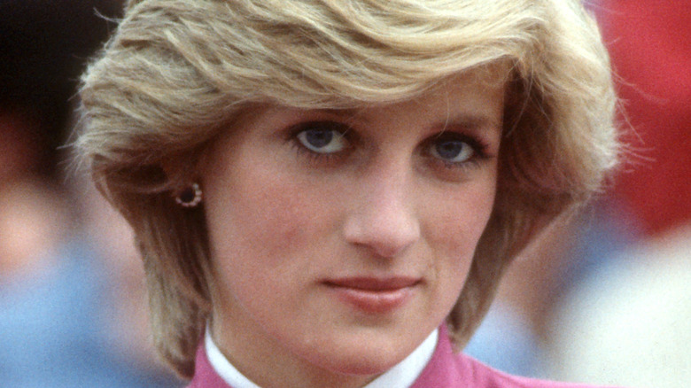 princess diana with a half smile