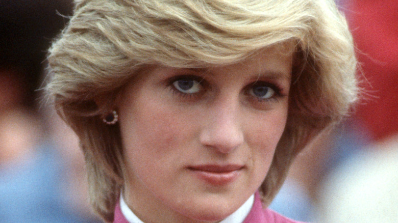 Princess Diana smiling at Prince Edward Island