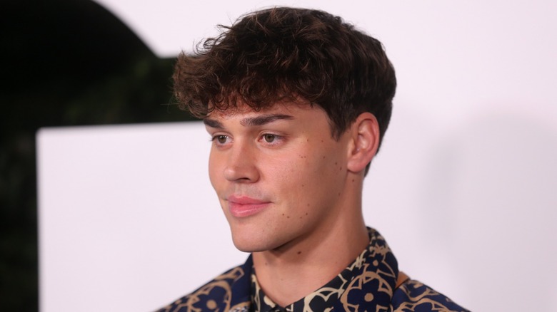 Noah Beck: 12 Facts About The TikTok Star