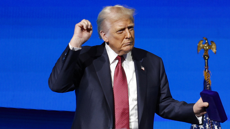 Donald Trump lifting his fist into the air