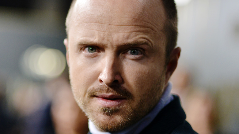 Aaron Paul looks intensely at the camera