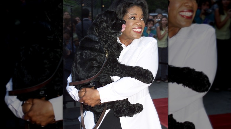 Oprah Winfrey arrives to a summit with her dog, Sophie