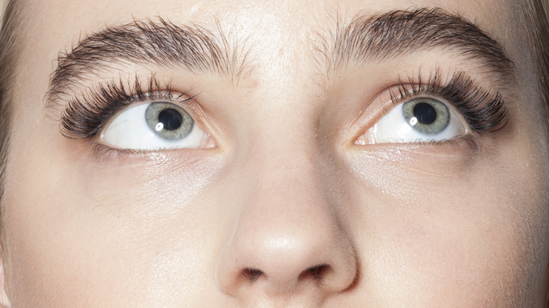 close-up of woman's eyes looking up with eyelash extensions and bushy eyebrows