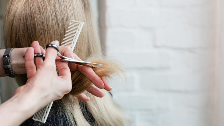 person getting a haircut