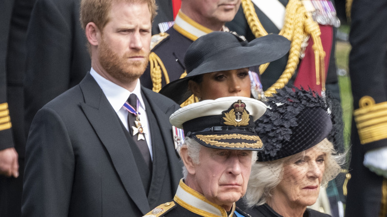 King Charles III in uniform