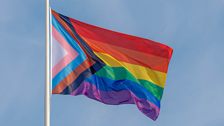 LGBTQ+ pride flag 