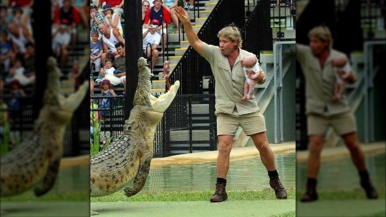 Steve Irwin feeding a crocodile while holding baby Robert Irwin