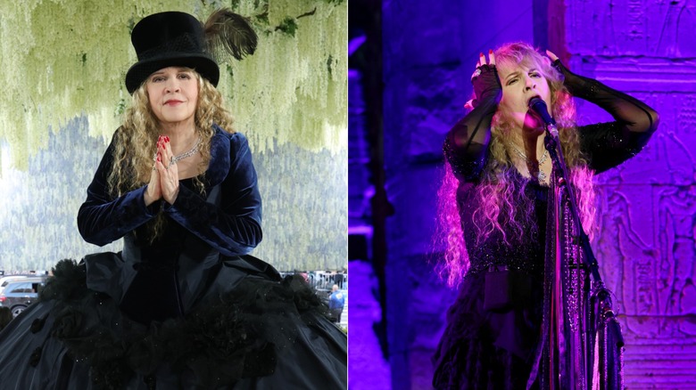 Split image of Stevie Nicks on the 2026 Met Gala red carpet and performing at the Met Gala