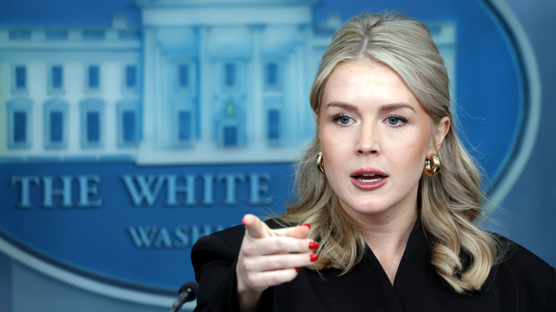 Karoline Leavitt speaks during a press briefing on December 11, 2025 in Washington, DC