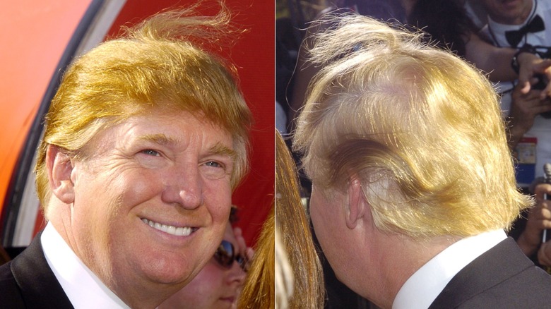 Donald Trump smiles during the 56th annual Primetime Emmy Awards at The Shrine Auditorium in Los Angeles, California, on September 19, 2004 (2004); The back of Donald Trump's head is photographed during The 56th Annual Primetime Emmy Awards - Red Carpet at The Shrine Auditorium in Los Angeles, California, on September 19, 2004 (2004)