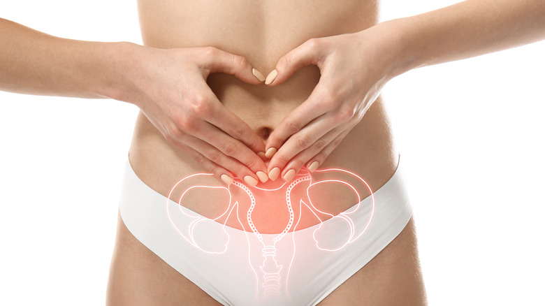 Woman's abdomen with reproductive system