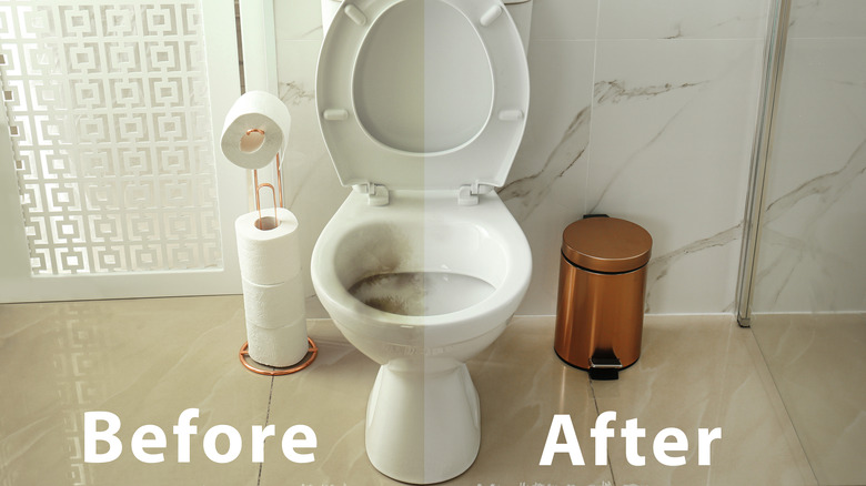 Dirty and clean toilet