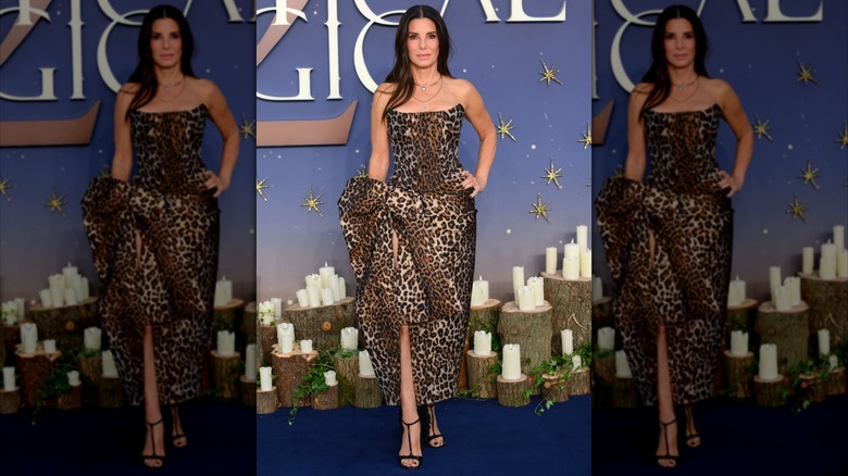 Sandra Bullock posing