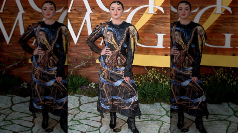 Maisie Williams posing