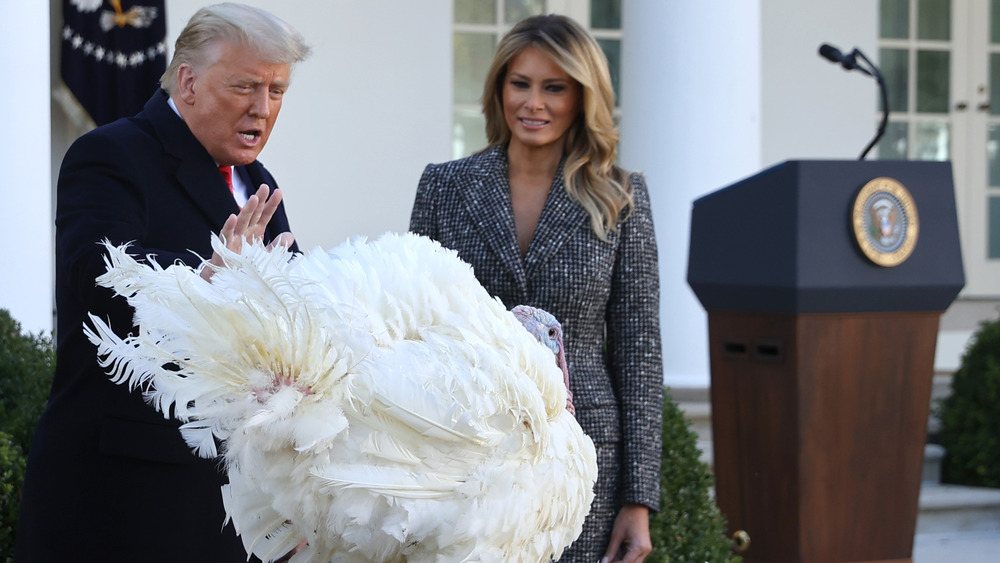 President Trump pardons a turkey at the White House as the First Lady looks on