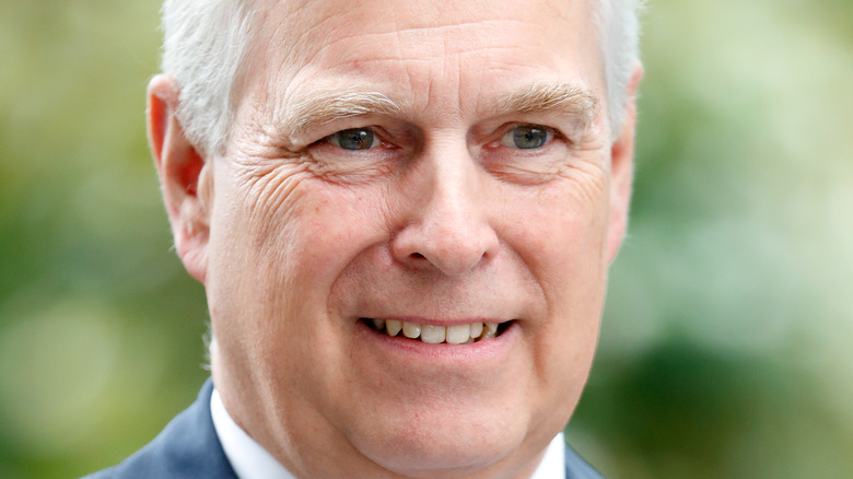 Prince Andrew slight smile