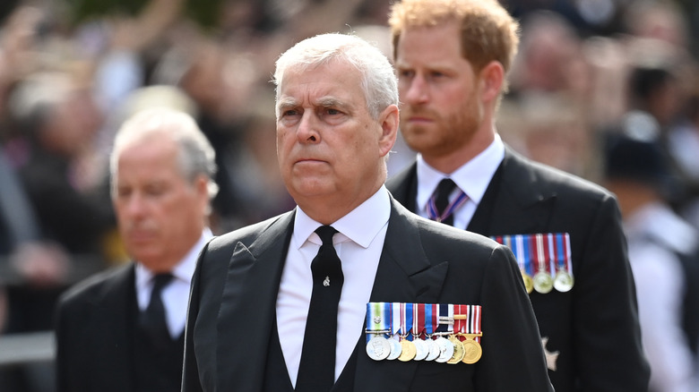 Prince Andrew wears military medals at the queen's procession