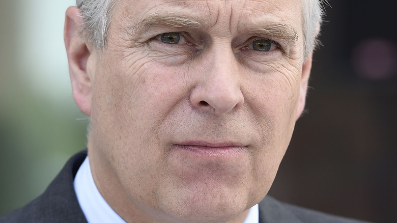 Prince Andrew in Germany