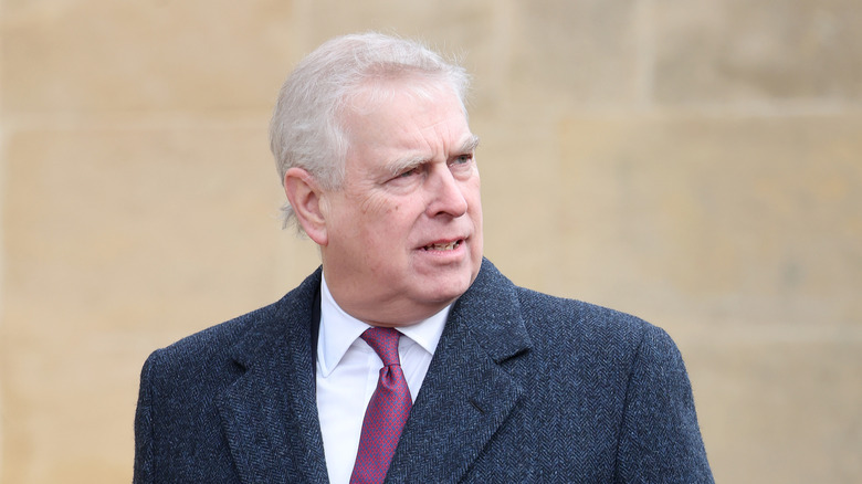 Prince Andrew grimacing in a tweed jacket and red tie