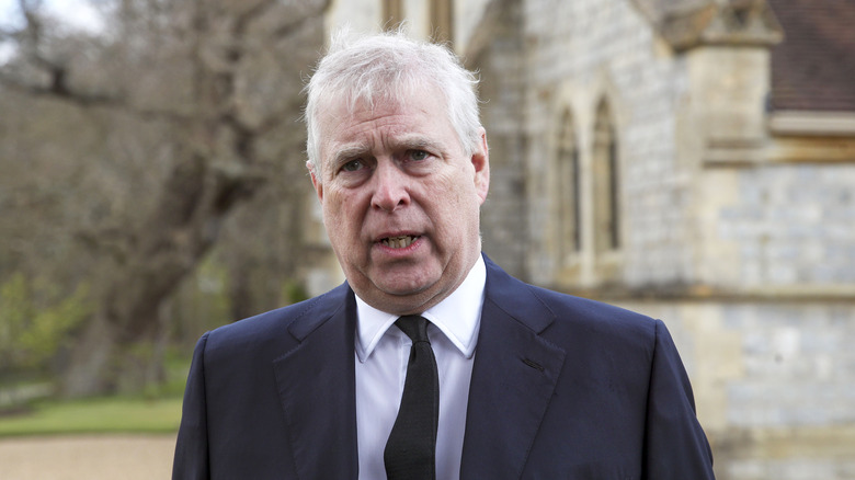 Prince Andrew in a navy blue suit and white hair