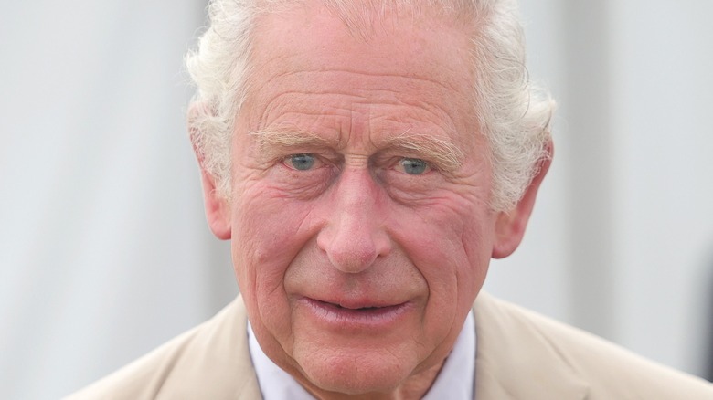 Prince Charles smiling 