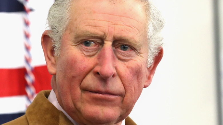 Prince Charles looking pensive