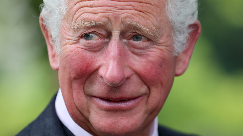 Prince Charles appearing concerned