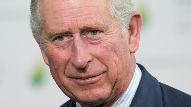 Prince Charles posing 