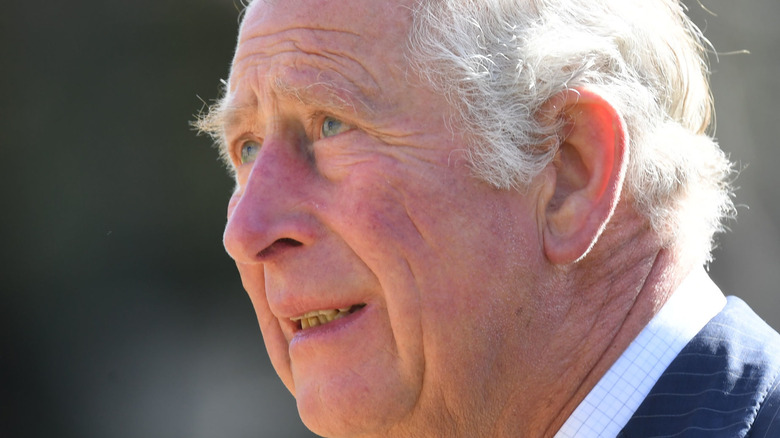 Prince Charles in profile