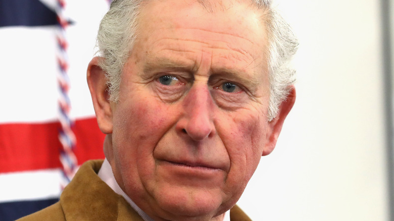 Prince Charles looks pensive