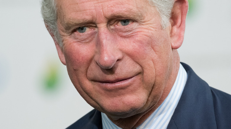 Prince Charles 2015